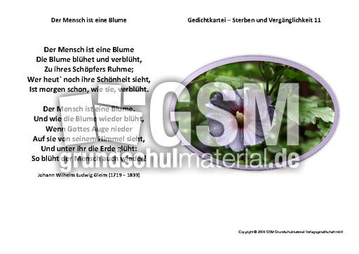 Der-Mensch-ist eine-Blume-Gleim.pdf